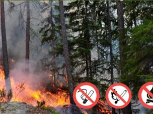 Внимание! В Кстовском муниципальном округе установлен 4 класс пожарной опасности лесов и торфяников
