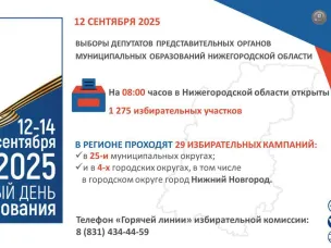 Выборы 2025. Адреса избирательных участков.