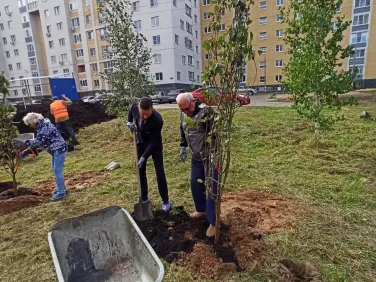 Парк Юбилейный: акция по высадке деревьев