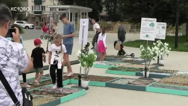 Фестиваль "Мы за ЗОЖ"