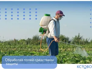 Обработка полей средствами защиты