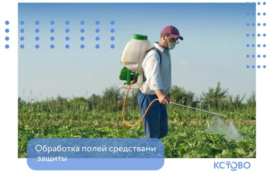 Обработка полей средствами защиты