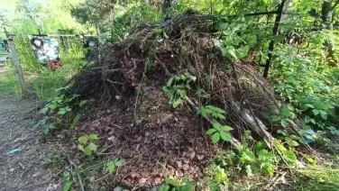 Проект «Цифровая инвентаризация кладбищ»