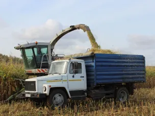 В Кстовском округе началась уборка зерновых