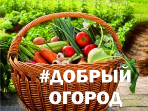 Всероссийский конкурс социальных  агроволонтёрских проектов «Добрый огород»
