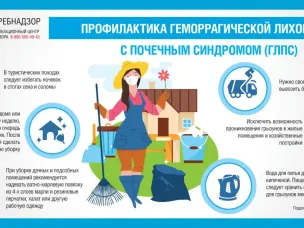 В сентябре–октябре 2025 года в Нижегородской области отмечен рост заболеваемости геморрагической лихорадкой с почечным синдромом