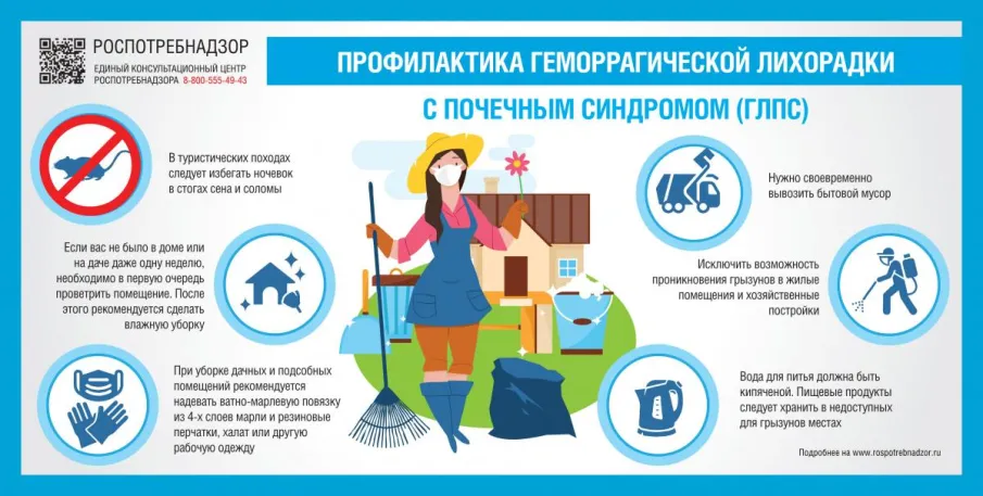 В сентябре–октябре 2025 года в Нижегородской области отмечен рост заболеваемости геморрагической лихорадкой с почечным синдромом