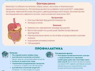 Позаботьтесь о своем желудке