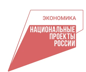 Универсальное инвестпредложение по созданию роботизированных автомоек разработано в Нижегородской области