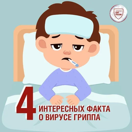 Факты о вирусе гриппа