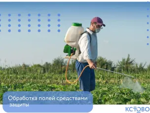 Обработка средствами защиты растений полей, находящихся на территории Прокошевского и Чернышихинского территориальных отделов
