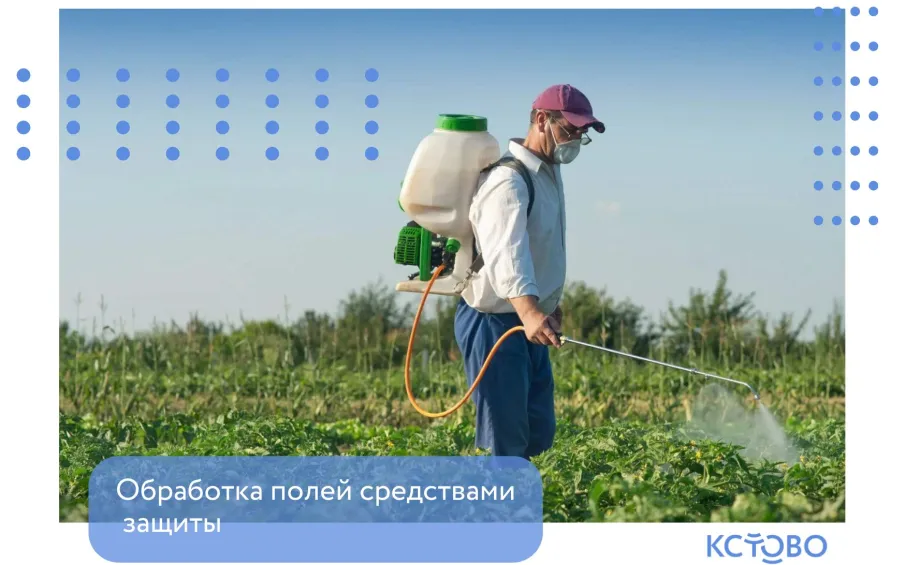 Обработка средствами защиты растений полей, находящихся на территории Прокошевского и Чернышихинского территориальных отделов