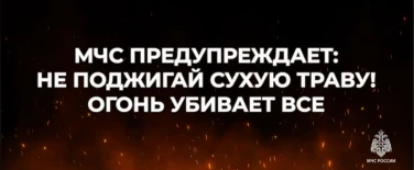 Не поджигайте сухую траву!