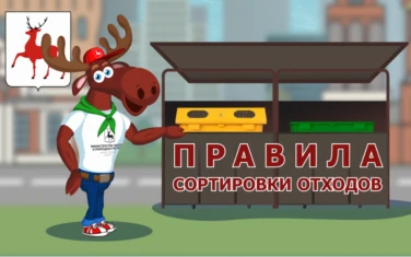 Правила сортировки отходов
