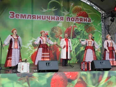 Фестиваль "Земляничная поляна"