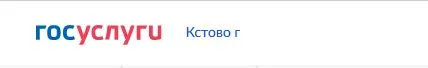 Массовые социально значимые услуги предоставляются в электронном виде