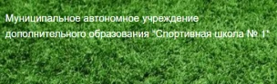 МАУ  ДО «Спортивная школа № 1»